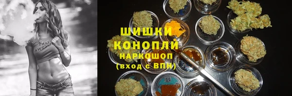 индика Горняк