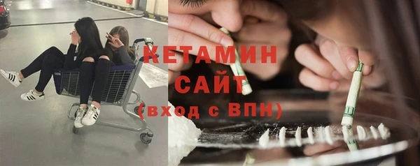 индика Горняк