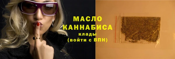 индика Горняк