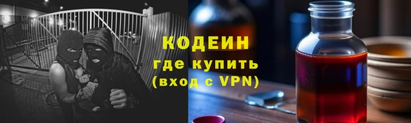 индика Горняк