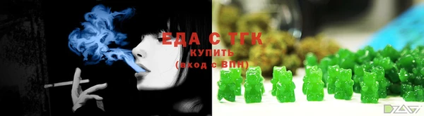 индика Горняк