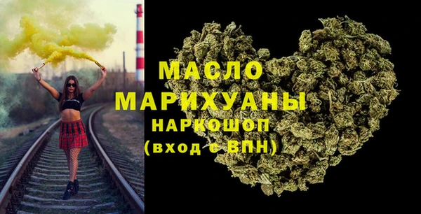 индика Горняк