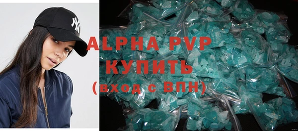 индика Горняк