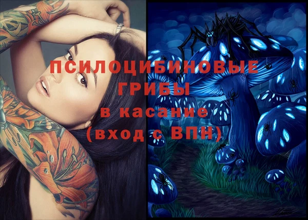 индика Горняк