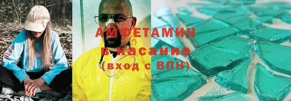 индика Горняк