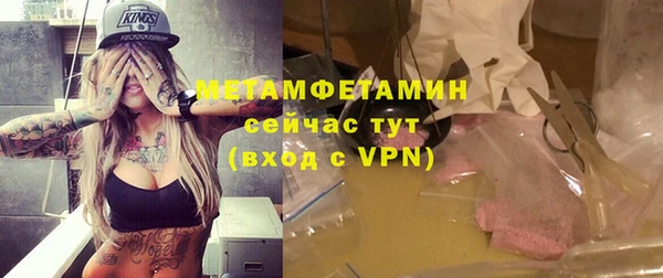 индика Горняк