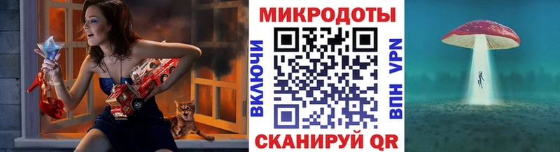Псилоцибиновые грибы Psilocybine cubensis  Дрезна 